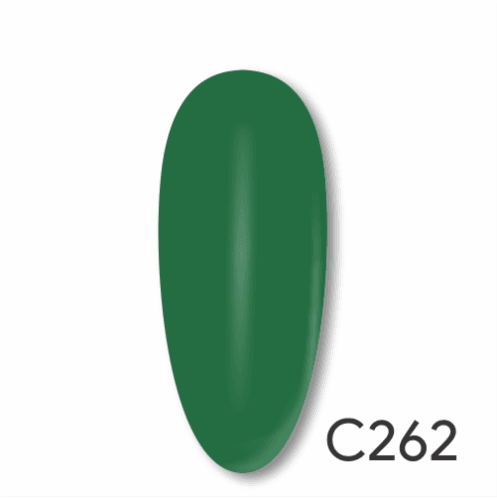 C262